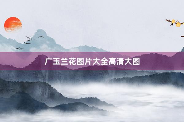 广玉兰花图片大全高清大图