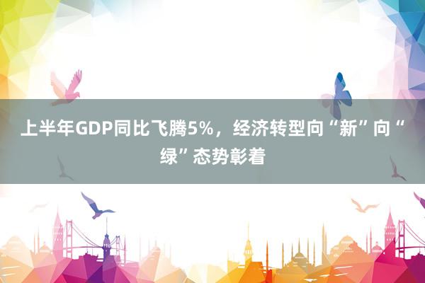上半年GDP同比飞腾5%，经济转型向“新”向“绿”态势彰着
